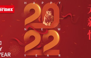 Happy New Year | 来自泰美斯全球的新年祝福