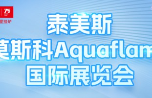 双料国际大奖！泰美斯在莫斯科Aquaflame 2026 国际展览会大放异彩！